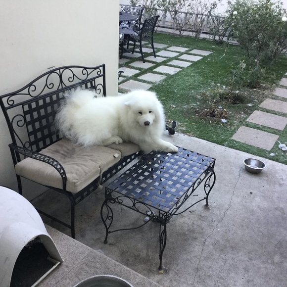 Meet your Posher, Designer - Picture 3 of 4